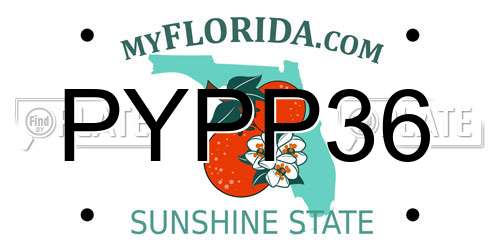 PYPP36 Florida License Plate