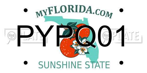 PYPQ01 Florida License Plate