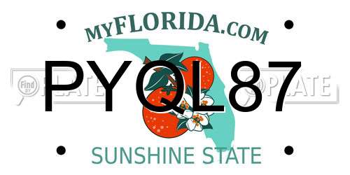 PYQL87 Florida License Plate