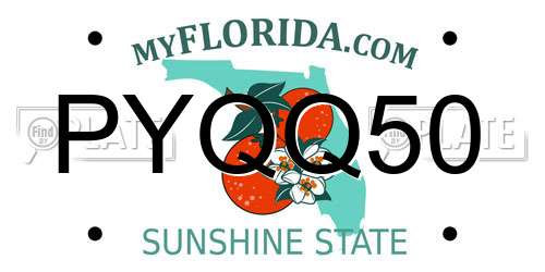 PYQQ50 Florida License Plate