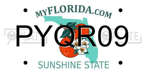 PYQR09 Florida License Plate