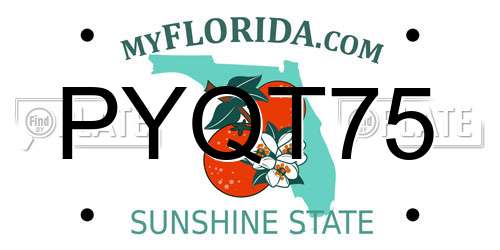 PYQT75 Florida License Plate