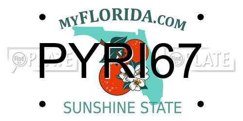 PYRI67 Florida License Plate