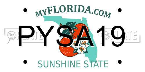 PYSA19 Florida License Plate