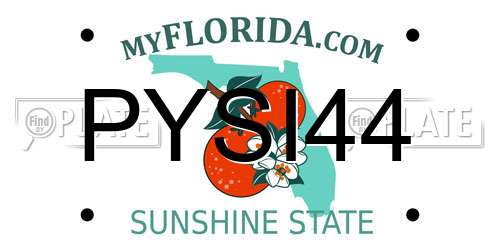 PYSI44 Florida License Plate