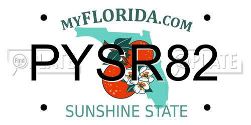 PYSR82 Florida License Plate