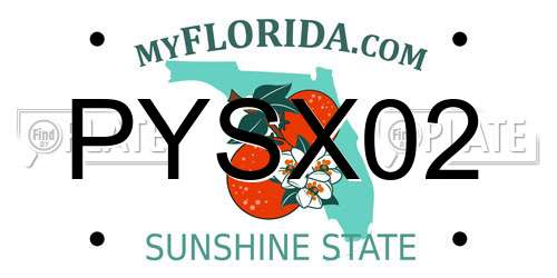 PYSX02 Florida License Plate