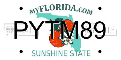 PYTM89 Florida License Plate