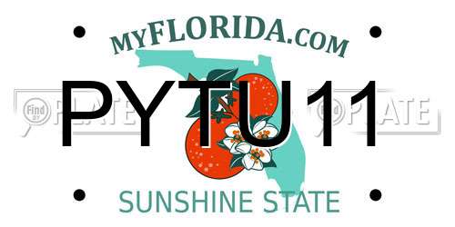 PYTU11 Florida License Plate