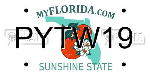 PYTW19 Florida License Plate