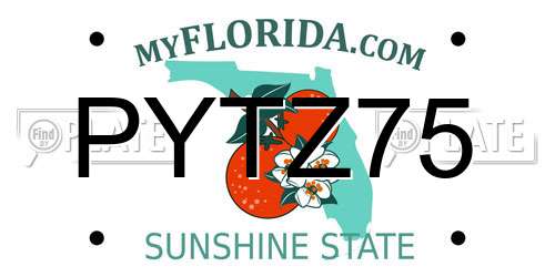 PYTZ75 Florida License Plate