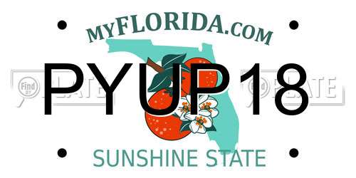 PYUP18 Florida License Plate