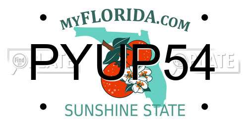 PYUP54 Florida License Plate