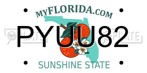 PYUU82 Florida License Plate