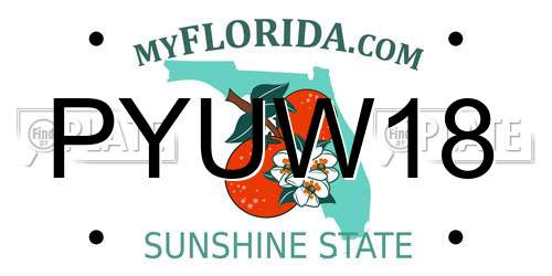 PYUW18 Florida License Plate