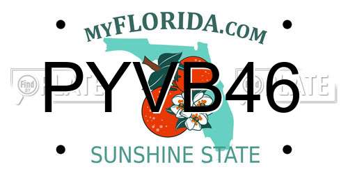 PYVB46 Florida License Plate