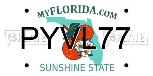 PYVL77 Florida License Plate