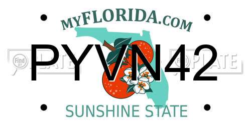 PYVN42 Florida License Plate