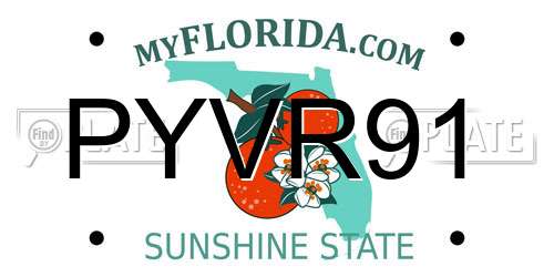 PYVR91 Florida License Plate