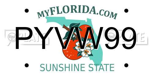 PYVW99 Florida License Plate