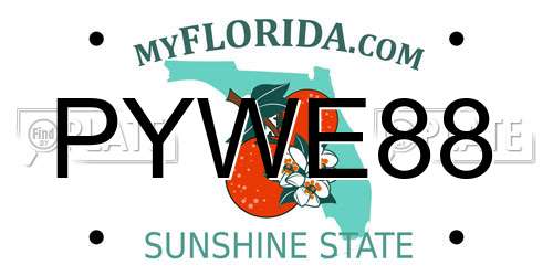 PYWE88 Florida License Plate