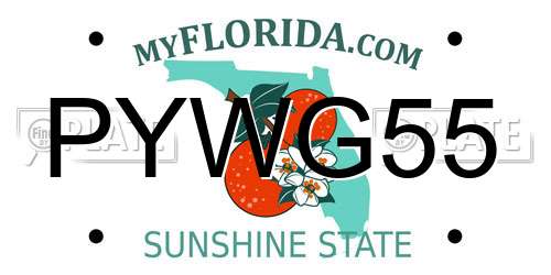 PYWG55 Florida License Plate