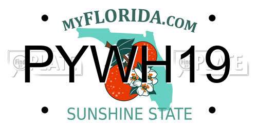 PYWH19 Florida License Plate