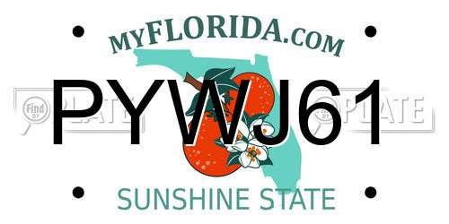 PYWJ61 Florida License Plate