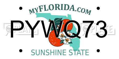PYWQ73 Florida License Plate