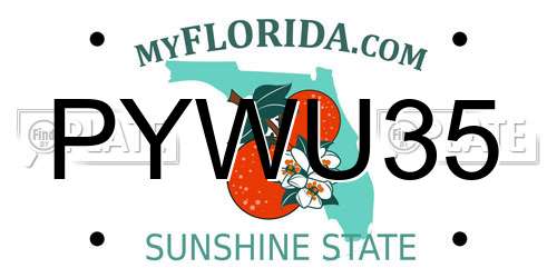 PYWU35 Florida License Plate
