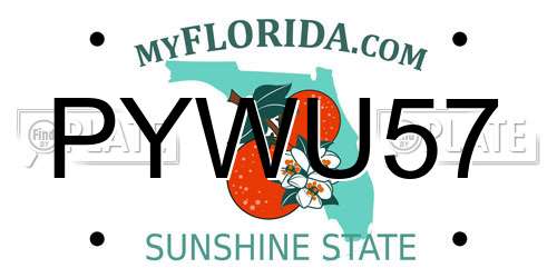 PYWU57 Florida License Plate