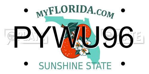 PYWU96 Florida License Plate