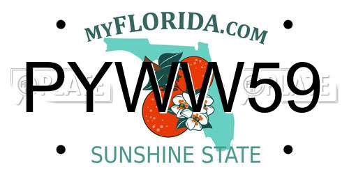 PYWW59 Florida License Plate