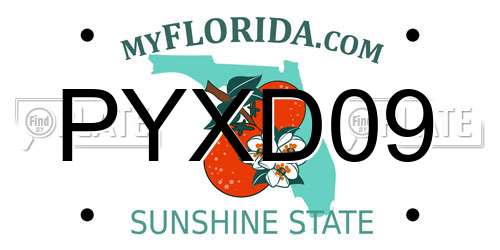 PYXD09 Florida License Plate