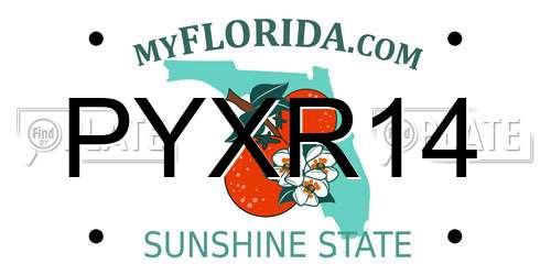 PYXR14 Florida License Plate