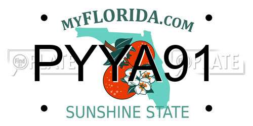 PYYA91 Florida License Plate