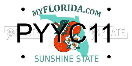 PYYC11 Florida License Plate