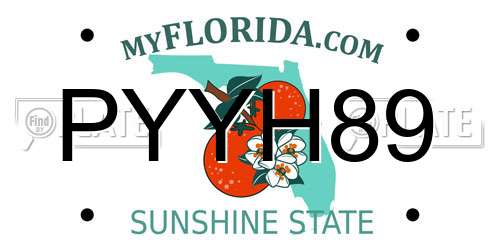 PYYH89 Florida License Plate