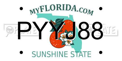 PYYJ88 Florida License Plate