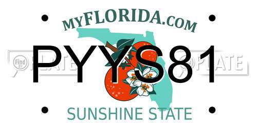 PYYS81 Florida License Plate
