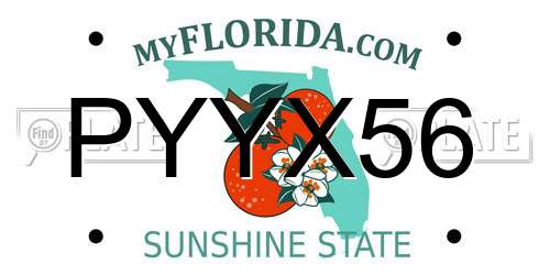 PYYX56 Florida License Plate