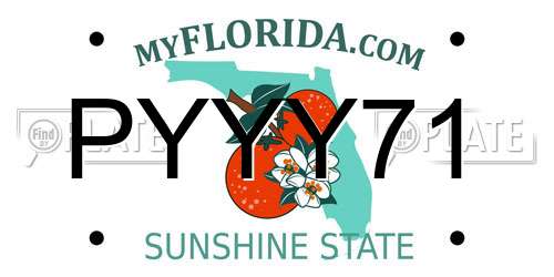 PYYY71 Florida License Plate