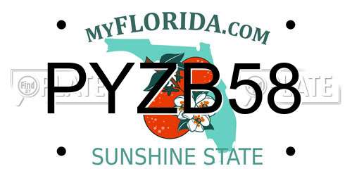 PYZB58 Florida License Plate