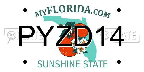PYZD14 Florida License Plate