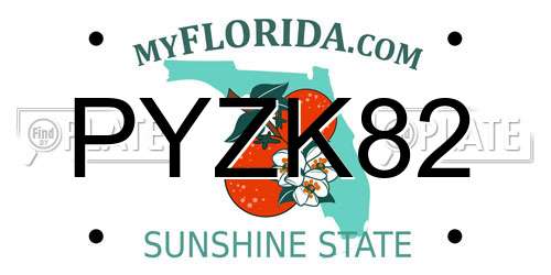 PYZK82 Florida License Plate
