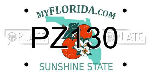 PZ130 Florida License Plate