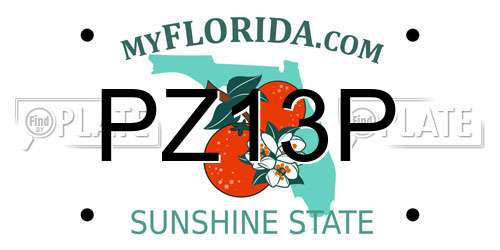 PZ13P Florida License Plate
