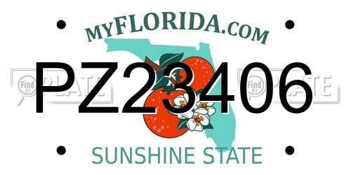 PZ23406 Florida License Plate