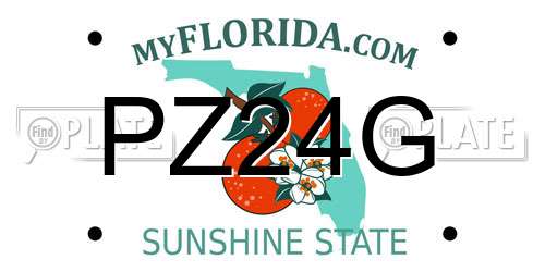 PZ24G Florida License Plate