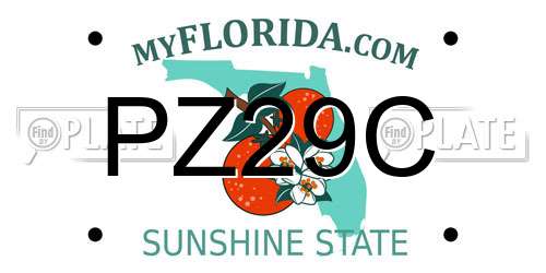 PZ29C Florida License Plate